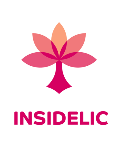 Formação em INSIDELI